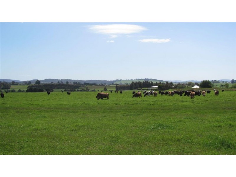 Lot 1 Whitemore Road, Whitemore TAS 7303