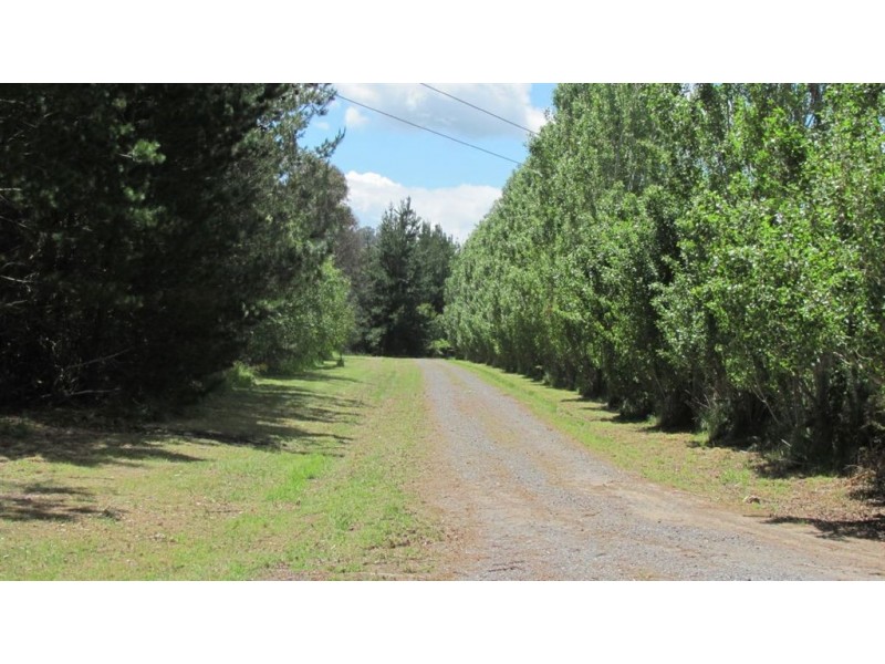 1395 Bridgenorth Road, Rosevale TAS 7292