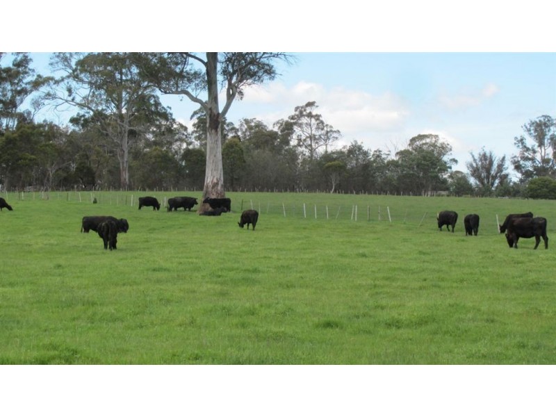 1395 Bridgenorth Road, Rosevale TAS 7292