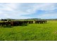 222-290 Blessington Road, St Leonards TAS 7250