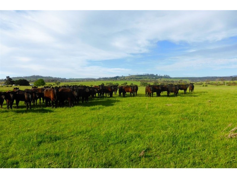 222-290 Blessington Road, St Leonards TAS 7250