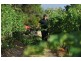 755 West Tamar Highway, Legana TAS 7277