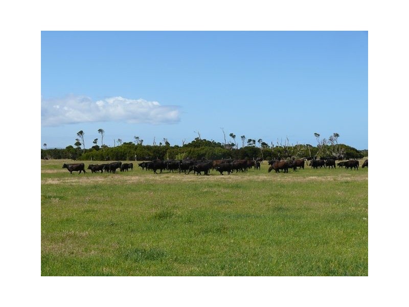 255 Trousers Point Road, Flinders Island TAS 7255