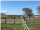255 Trousers Point Road, Flinders Island TAS 7255