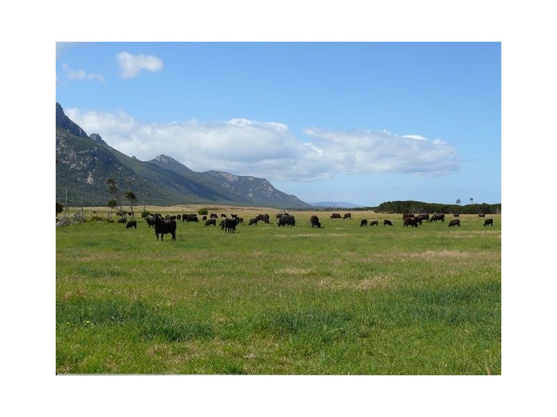 255 Trousers Point Road, Flinders Island TAS 7255