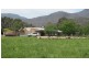 310 Leona Rd, Avoca TAS 7213