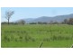 310 Leona Rd, Avoca TAS 7213