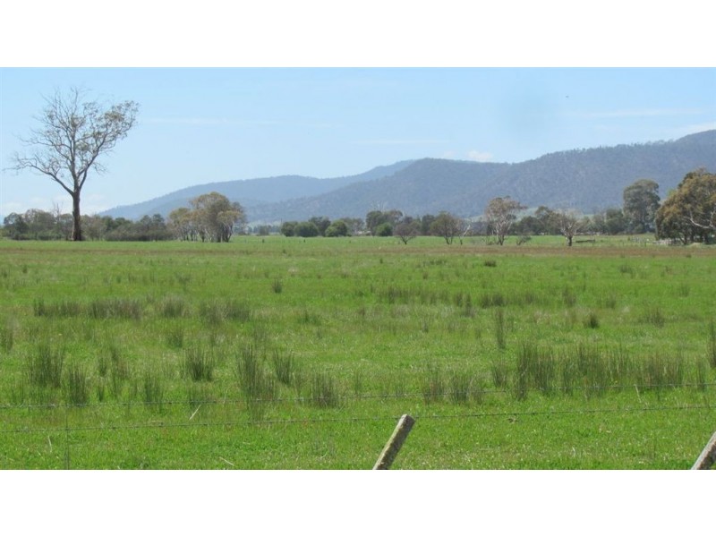 310 Leona Rd, Avoca TAS 7213