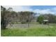 310 Leona Rd, Avoca TAS 7213