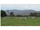 310 Leona Rd, Avoca TAS 7213