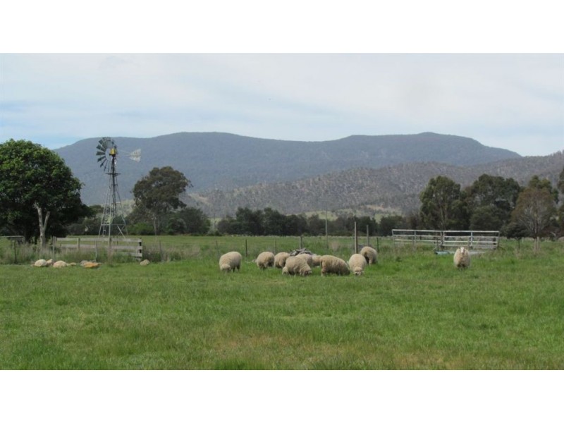 310 Leona Rd, Avoca TAS 7213