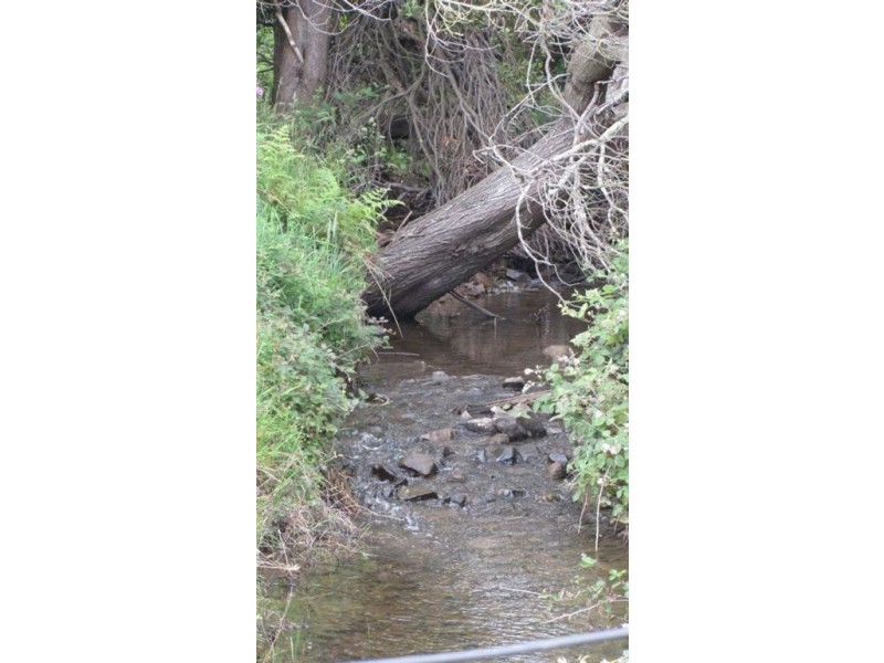 Lot 3 Myrtle Creek Road, Liffey TAS 7301