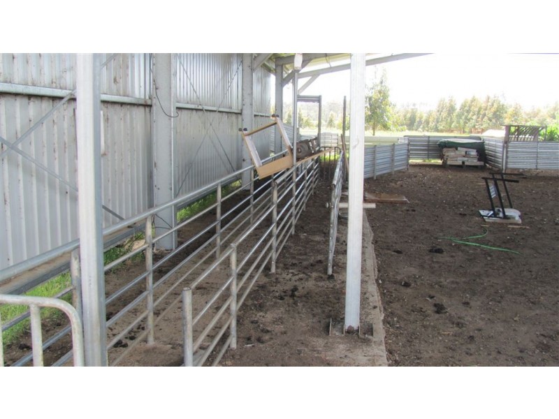 566 Macquarie Settlement Road, Cressy TAS 7302