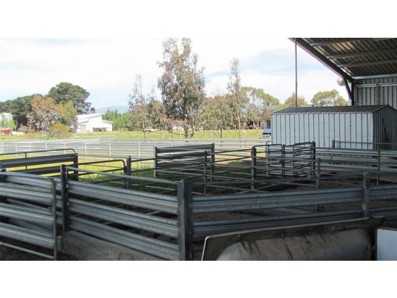 566 Macquarie Settlement Road, Cressy TAS 7302