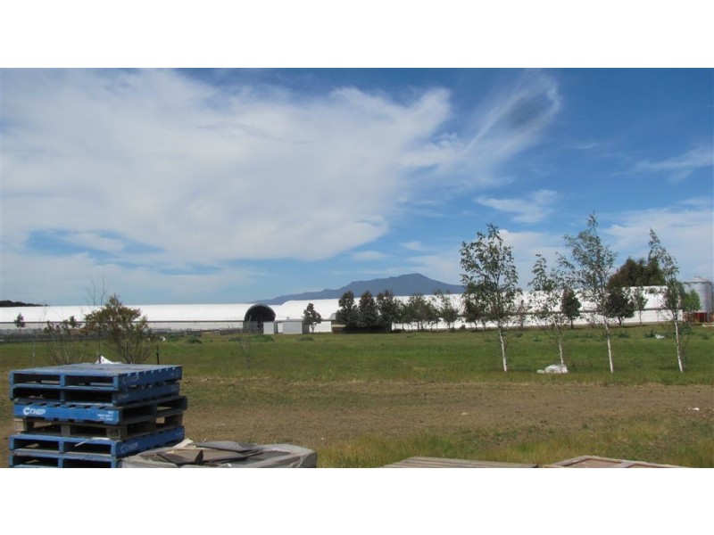 566 Macquarie Settlement Road, Cressy TAS 7302