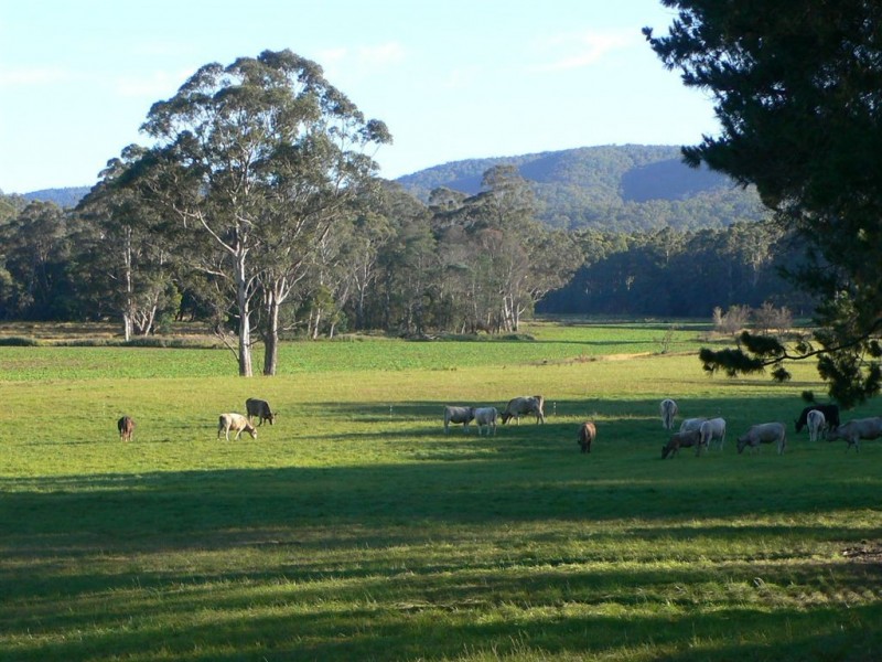 471 Evercreech Road, Mathinna TAS 7214