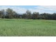 471 Evercreech Road, Mathinna TAS 7214