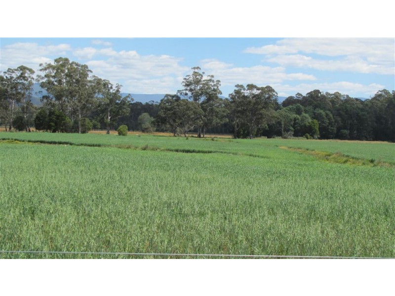 471 Evercreech Road, Mathinna TAS 7214