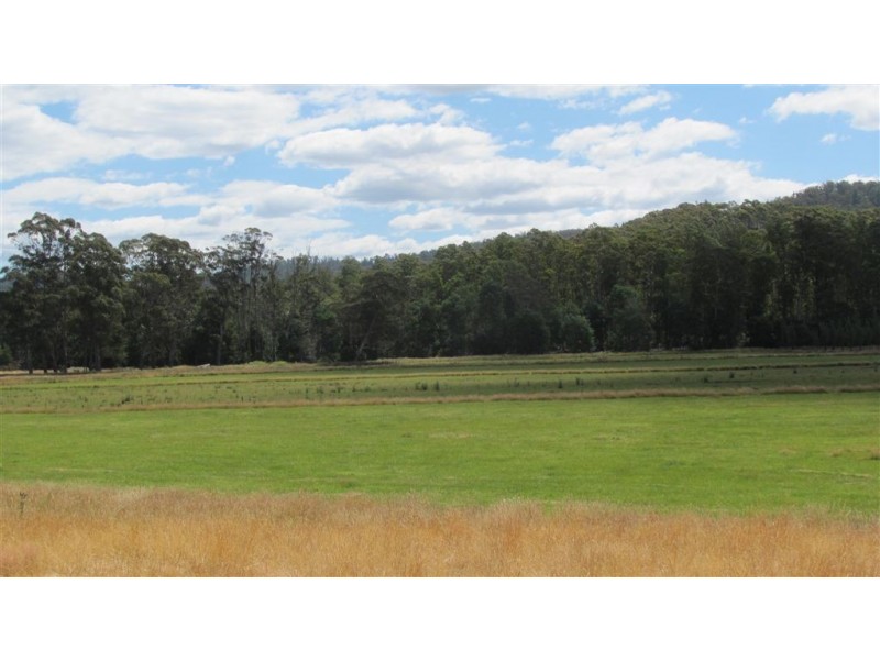 471 Evercreech Road, Mathinna TAS 7214