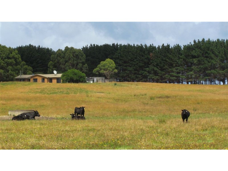 733 Arthur River Road, Marrawah TAS 7330