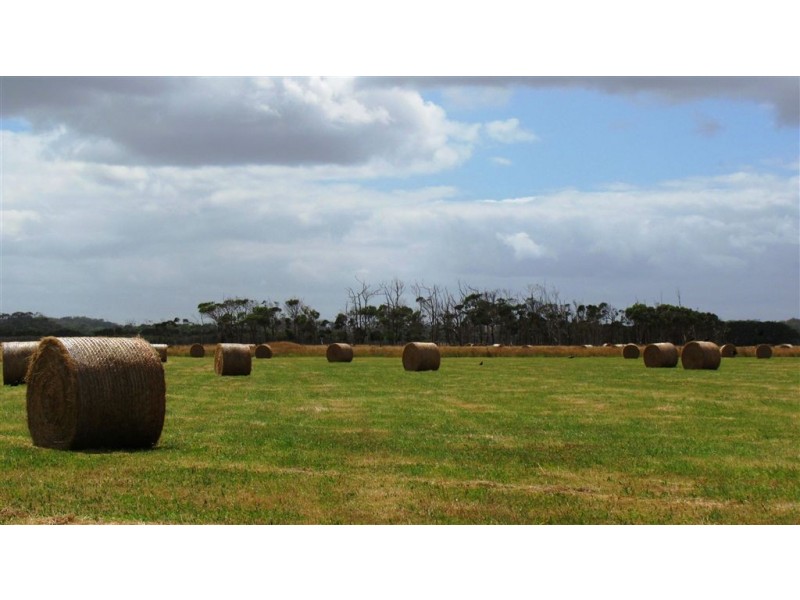 733 Arthur River Road, Marrawah TAS 7330