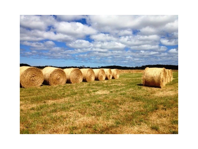 733 Arthur River Road, Marrawah TAS 7330