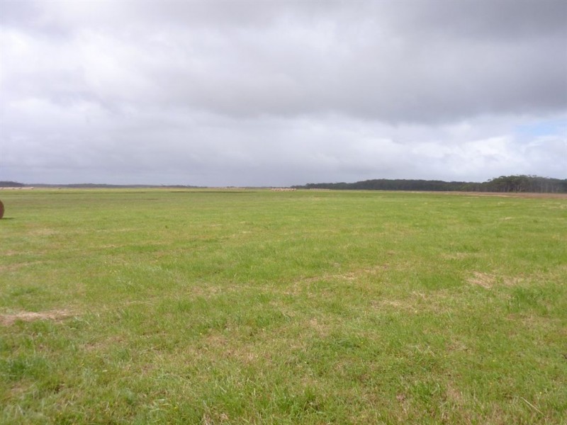 733 Arthur River Road, Marrawah TAS 7330