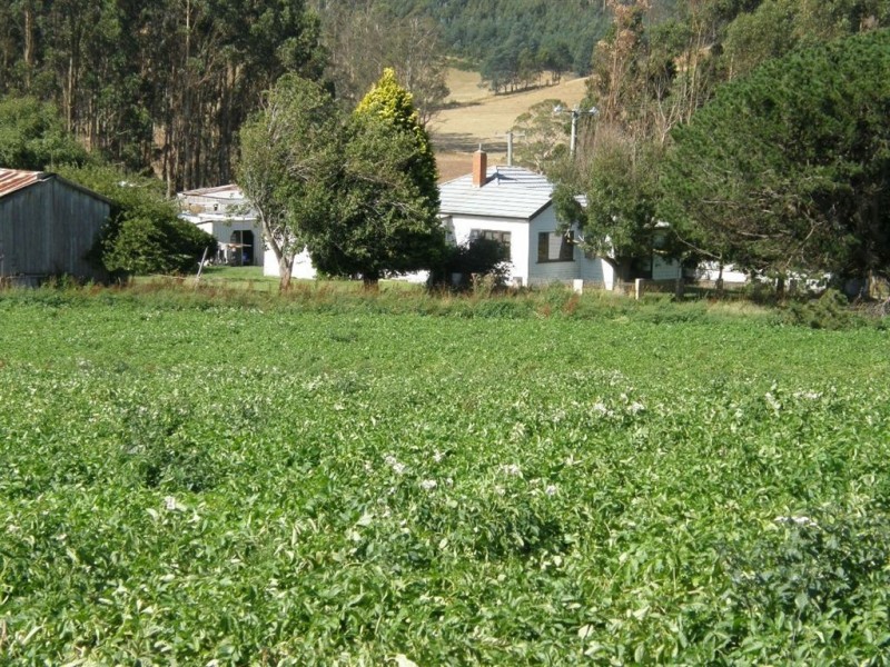 181 Ruby Flats Road, Ringarooma TAS 7263