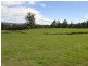 . Ruby Flats Road, Ringarooma TAS 7263