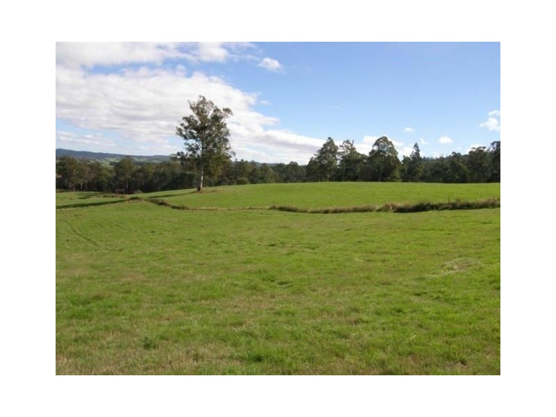 . Ruby Flats Road, Ringarooma TAS 7263