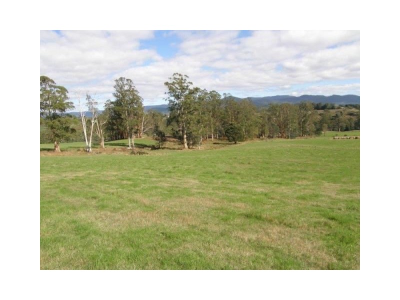 . Ruby Flats Road, Ringarooma TAS 7263
