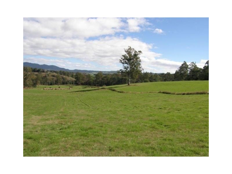 . Ruby Flats Road, Ringarooma TAS 7263