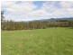 . Ruby Flats Road, Ringarooma TAS 7263