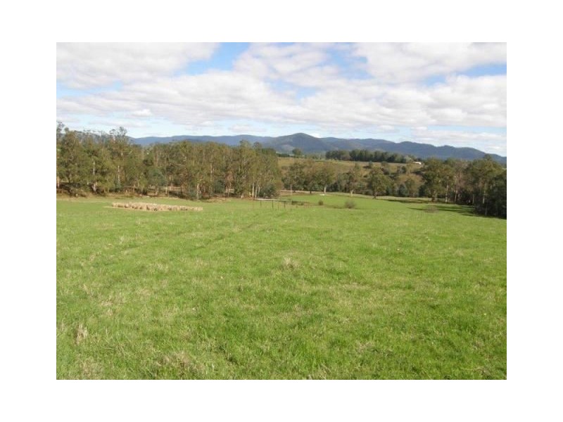 . Ruby Flats Road, Ringarooma TAS 7263