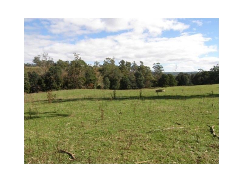 . Ruby Flats Road, Ringarooma TAS 7263