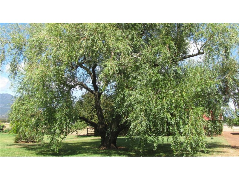 2464 Macquarie Road, Campbell Town TAS 7210