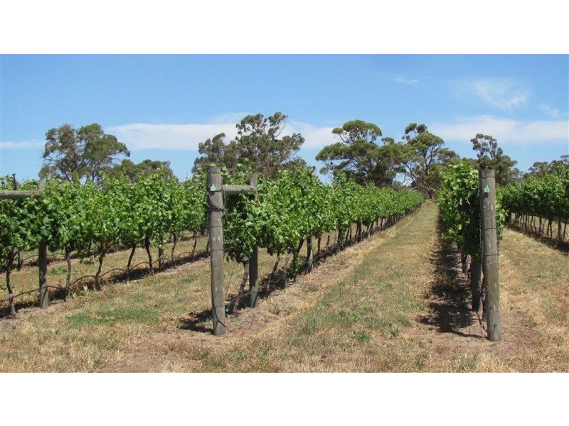 2464 Macquarie Road, Campbell Town TAS 7210