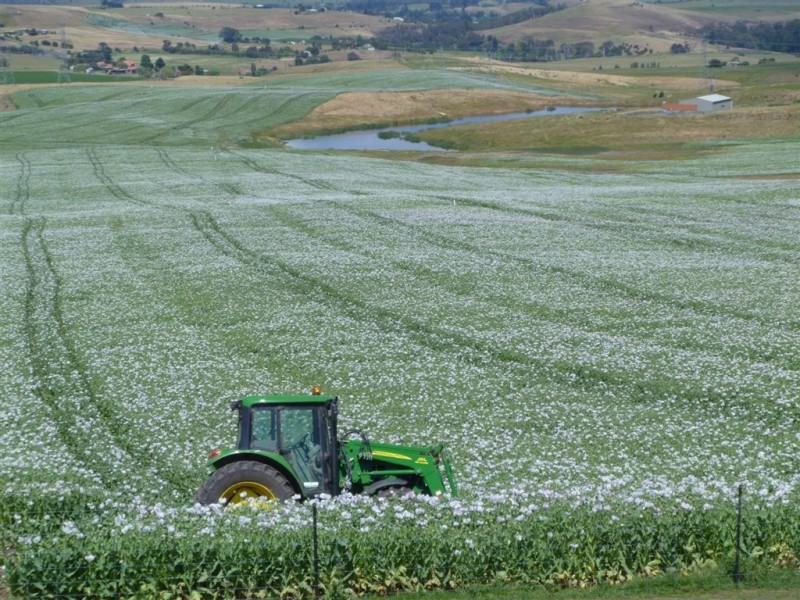 3400 Lyell Highway, Gretna TAS 7140