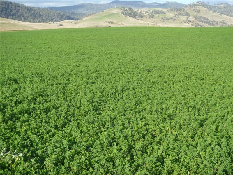 3400 Lyell Highway, Gretna TAS 7140