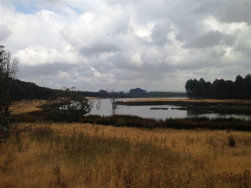 . Bridport Road, Bridport TAS 7262