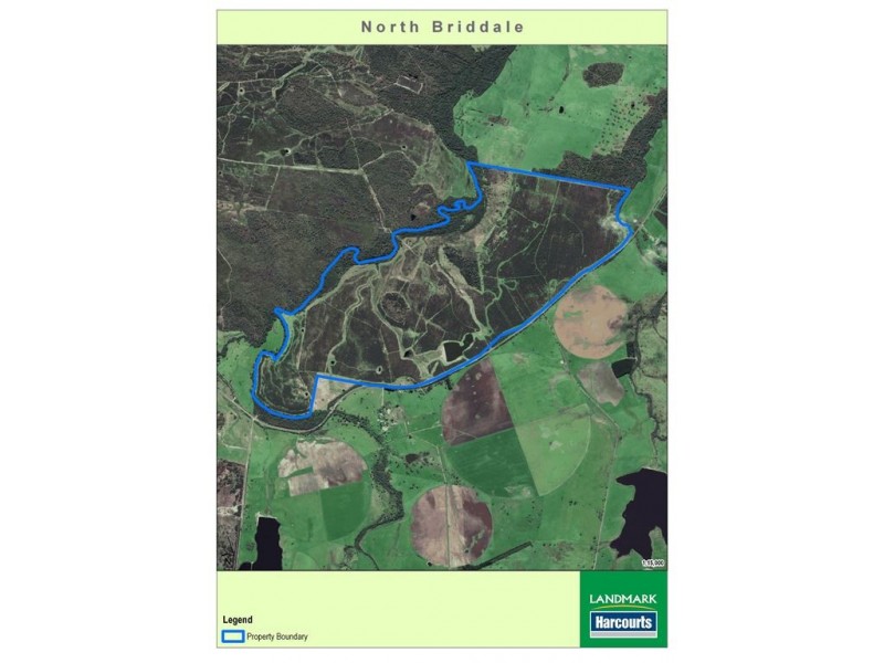 . Bridport Road, Bridport TAS 7262