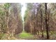 . Union Bridge Road, Mole Creek TAS 7304
