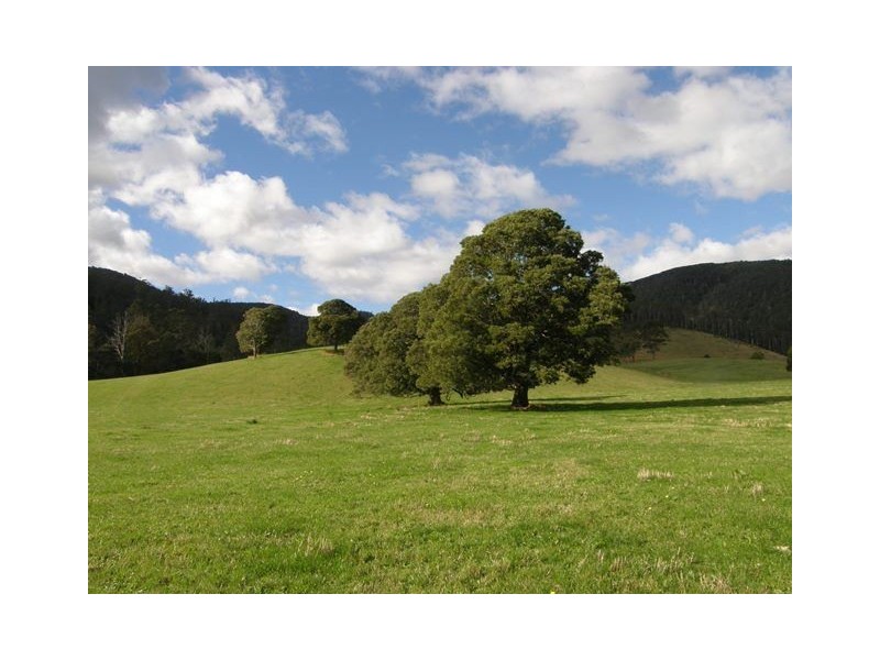 1140 New River Road, Ringarooma TAS 7263