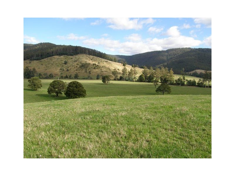 1140 New River Road, Ringarooma TAS 7263