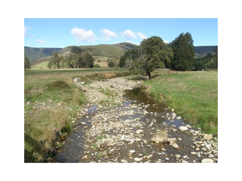 1140 New River Road, Ringarooma TAS 7263