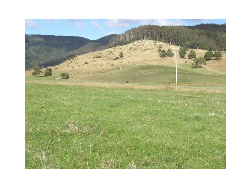 1140 New River Road, Ringarooma TAS 7263