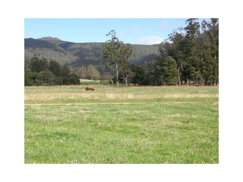 1140 New River Road, Ringarooma TAS 7263
