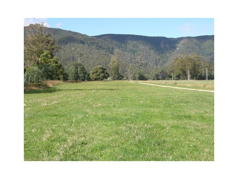 1140 New River Road, Ringarooma TAS 7263