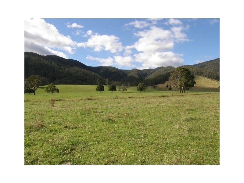 1140 New River Road, Ringarooma TAS 7263