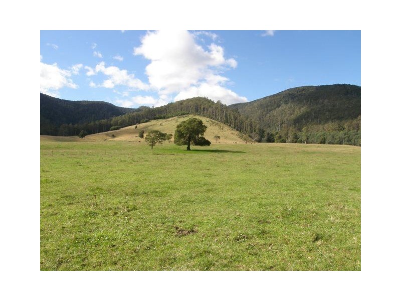 1140 New River Road, Ringarooma TAS 7263